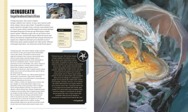 Dungeons and Dragons The Book of Dragons