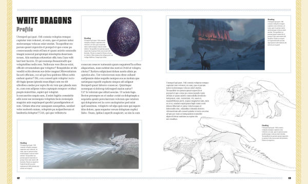 Dungeons and Dragons The Book of Dragons