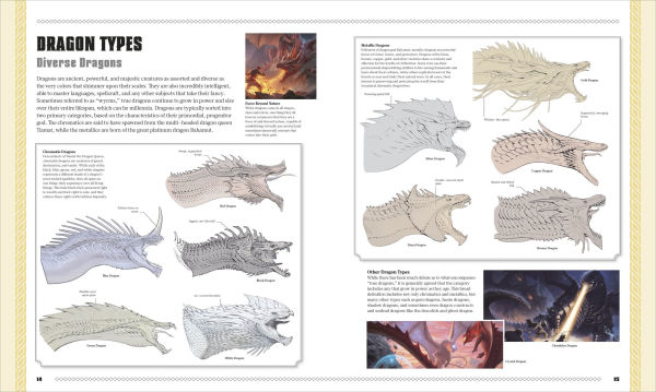 Dungeons and Dragons The Book of Dragons