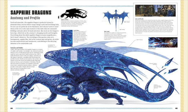 Dungeons and Dragons The Book of Dragons