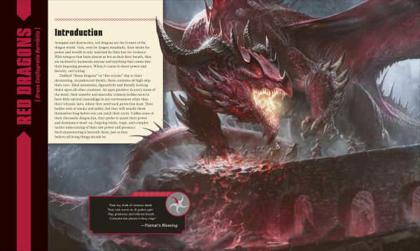 Dungeons and Dragons The Book of Dragons