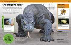 Alternative view 6 of Why? Animals: Brilliant Answers to Baffling Questions