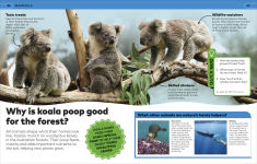 Alternative view 7 of Why? Animals: Brilliant Answers to Baffling Questions