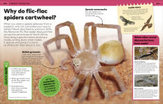 Alternative view 8 of Why? Animals: Brilliant Answers to Baffling Questions