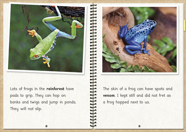Phonic Books The Fact Files 1: Consonant blends and digraphs, suffixes -ed and -ing