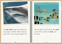 Alternative view 3 of Phonic Books The Fact Files 1: Consonant blends and digraphs, suffixes -ed and -ing