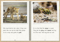 Alternative view 4 of Phonic Books The Fact Files 1: Consonant blends and digraphs, suffixes -ed and -ing