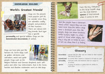 Alternative view 6 of Phonic Books The Fact Files 1: Consonant blends and digraphs, suffixes -ed and -ing