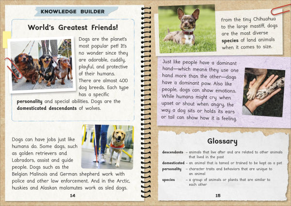 Phonic Books The Fact Files 1: Consonant blends and digraphs, suffixes -ed and -ing