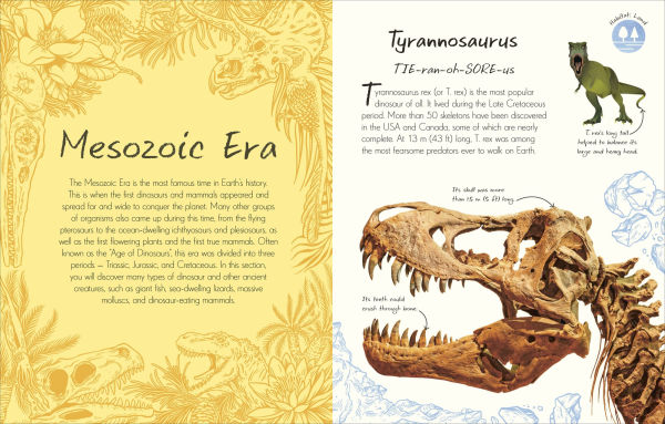 An Anthology of Fossils: A Collection Plant and Animal Fossils From Around the World
