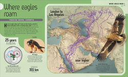 Alternative view 14 of Maptastic!: Reimagine the World, One Map at a Time