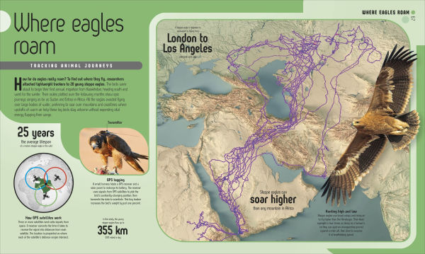 Maptastic!: Reimagine the World, One Map at a Time