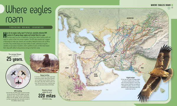 Maptastic!: Reimagine the World, One Map at a Time