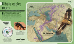 Alternative view 4 of Maptastic!: Reimagine the World, One Map at a Time