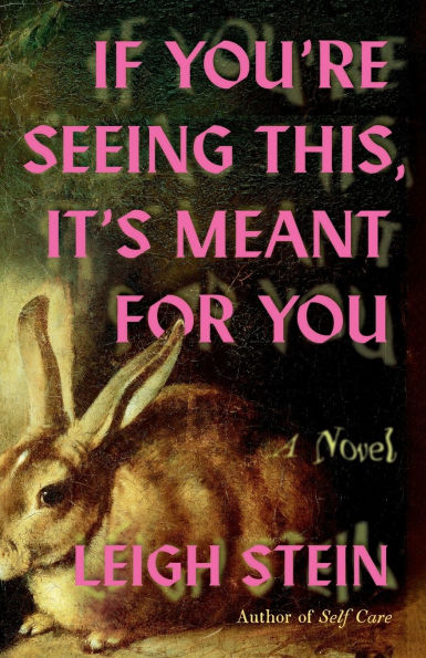 If You're Seeing This, It's Meant for You: A Novel