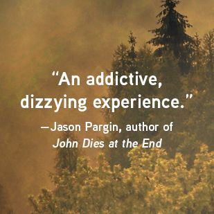 There Is No Antimemetics Division: A Novel