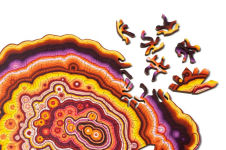 Alternative view 2 of Agate Orange Wooden Jigsaw Puzzle (180 Pieces)