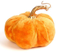 Title: Light Brown Velvet Pumpkin