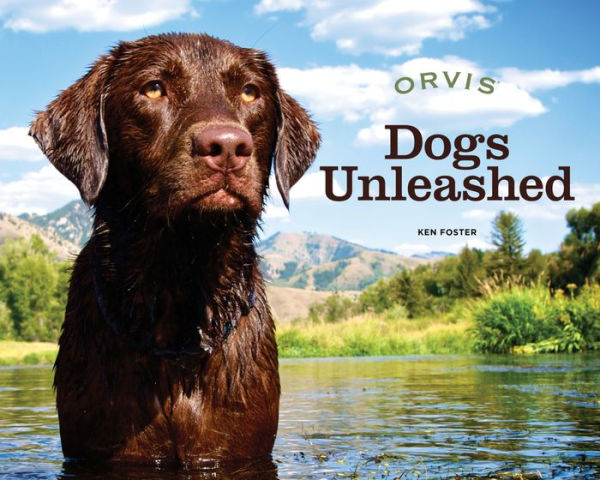 Dogs Unleashed: Adventures with Our Best Friends