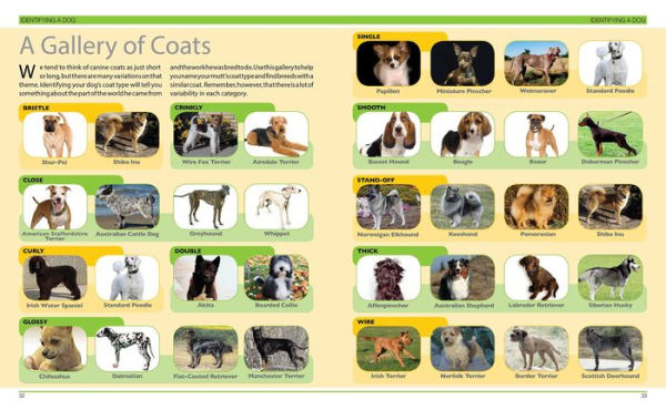 Dog Decoder: How to Identify Any Dog, Any Time