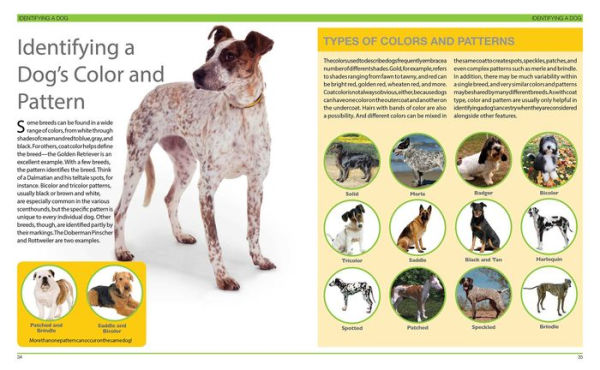 Dog Decoder: How to Identify Any Dog, Any Time