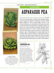 Alternative view 2 of Heirloom Plants: A Complete Compendium of Heritage Vegetables, Fruits, Herbs & Flowers