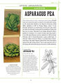 Alternative view 2 of Heirloom Plants: A Complete Compendium of Heritage Vegetables, Fruits, Herbs & Flowers