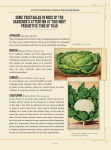 Alternative view 3 of Heirloom Plants: A Complete Compendium of Heritage Vegetables, Fruits, Herbs & Flowers