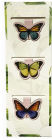 Bookmark Magnetic 3 Butterflies