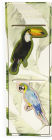 Bookmark Magnetic 2Pc Tucan Parrot