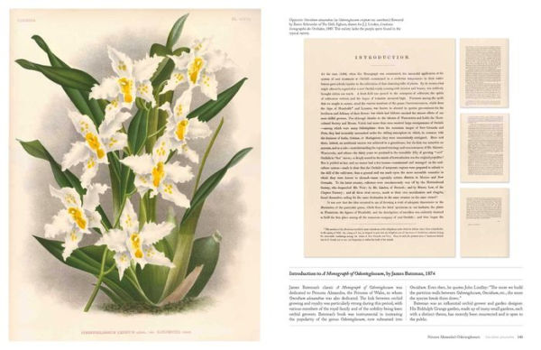 The Orchid: Celebrating 40 of the World's Most Charismatic Orchids Through Rare Prints and Classic Texts