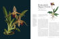 Alternative view 5 of The Orchid: Celebrating 40 of the World's Most Charismatic Orchids Through Rare Prints and Classic Texts