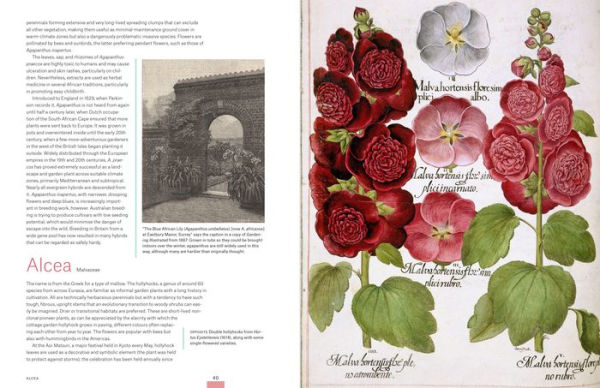 Garden Flora: The Natural and Cultural History of the Plants In Your Garden