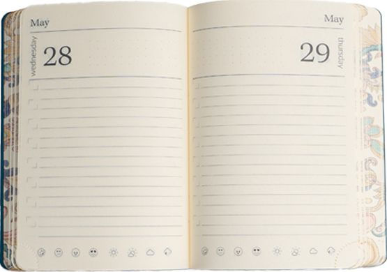 2025 Daily Planner Soft Touch Cachemire