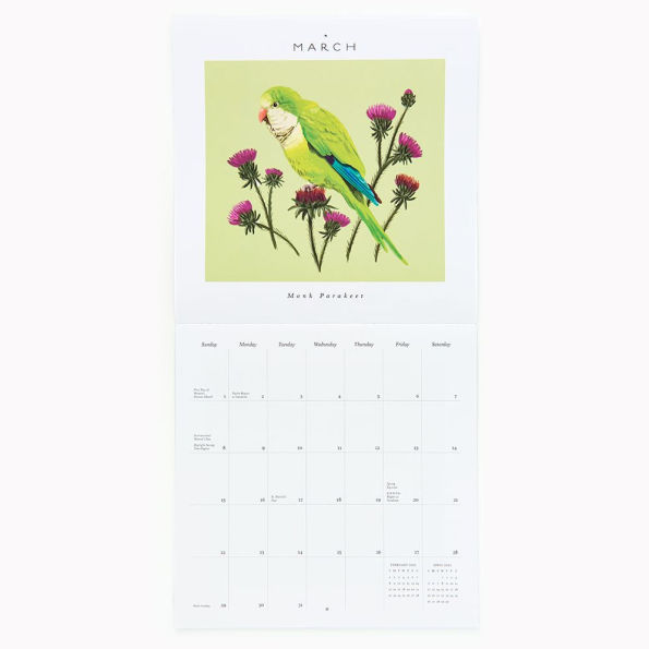 2026 Paper Source Birds Calendar