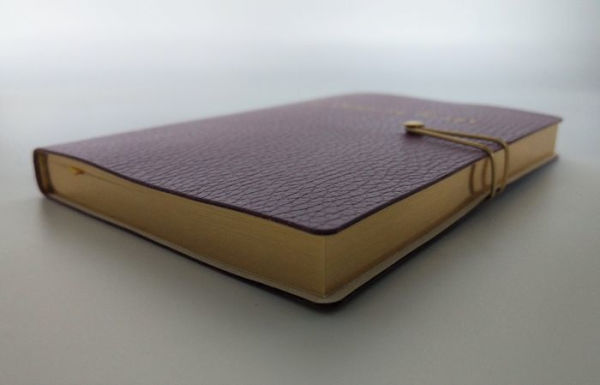 I'm Planning Things Genuine Leather Undated 12 Month Planner with Rivet Closure Gilded Edges