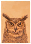 Alternative view 1 of Nubuk Leather Journal With Digital Printed Owl