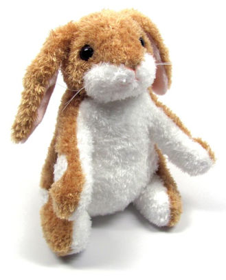 the velveteen rabbit book and stuffed animal