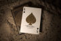 Alternative view 3 of theory11 Playing Cards - Medallion