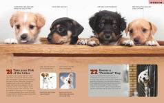 Alternative view 6 of Total Dog Manual (Adopt-a-Pet.com): Meet, Train and Care for Your New Best Friend