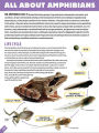 Alternative view 2 of Animals: A Visual Encyclopedia (An Animal Planet Book)