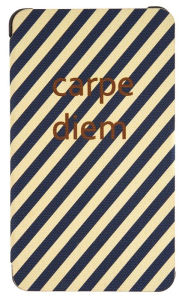 Title: NOOK Tablet 7 Cover in Striped Carpe Diem