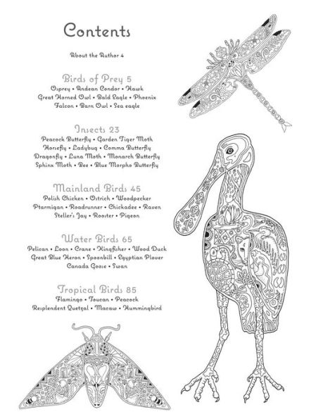 Color Yourself to Inner Peace: And reduce stress with your winged animal spirits