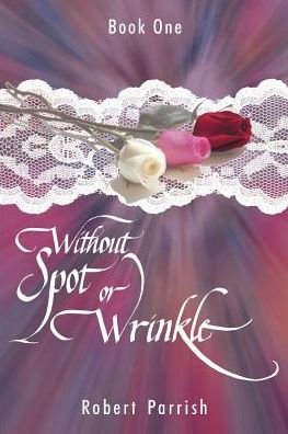 Without Spot or Wrinkle: Book One