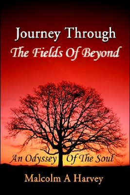 Journey Through The Fields Of Beyond: An Odyssey Soul
