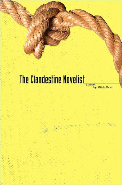 The Clandestine Novelist