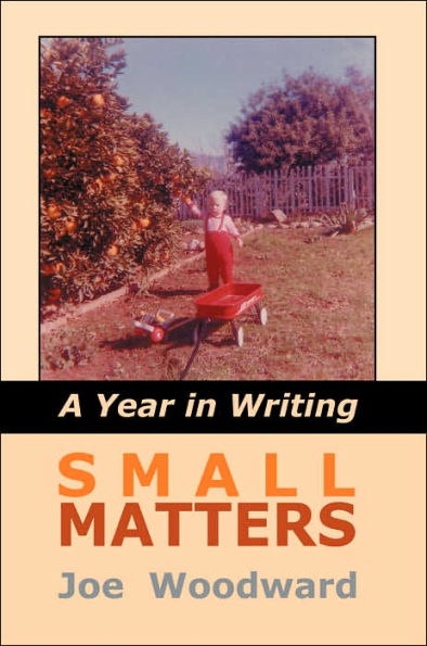 Small Matters: A Year in Writing