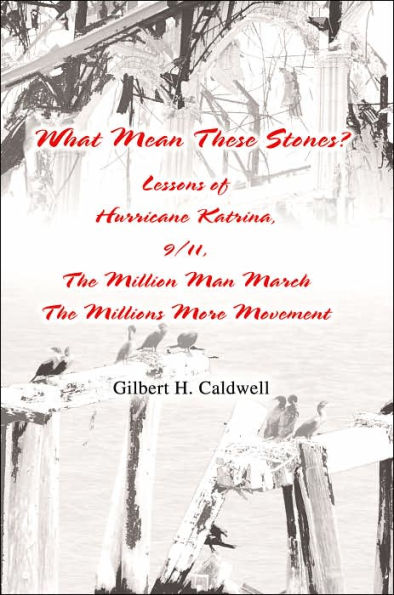 What Mean These Stones?: Lessons of Hurricane Katrina, 9/11, The Million Man March The Millions More Movement