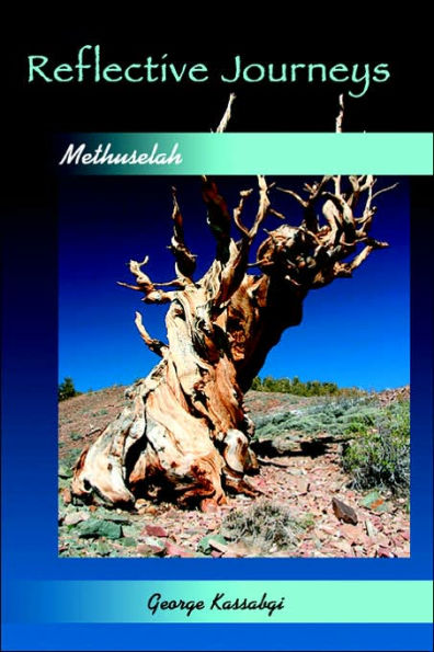 Reflective Journeys...: Methuselah