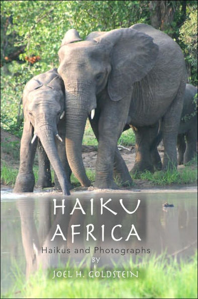 Haiku Africa: Haikus and Photographs